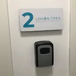 Lemon Tree * דוברובניק