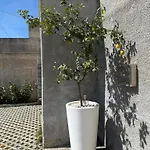 Lemon Tree דוברובניק