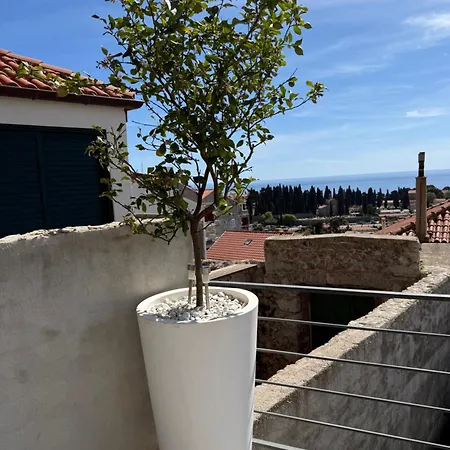 Appartement Lemon Tree