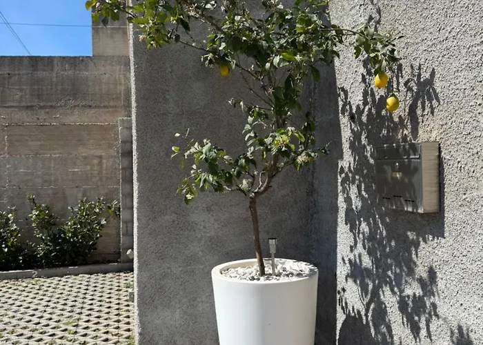 Lemon Tree דוברובניק